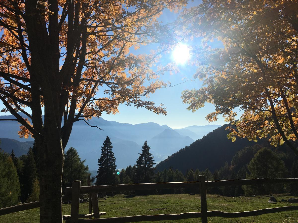 小王子住宿加早餐旅馆 Bieno  外观 照片